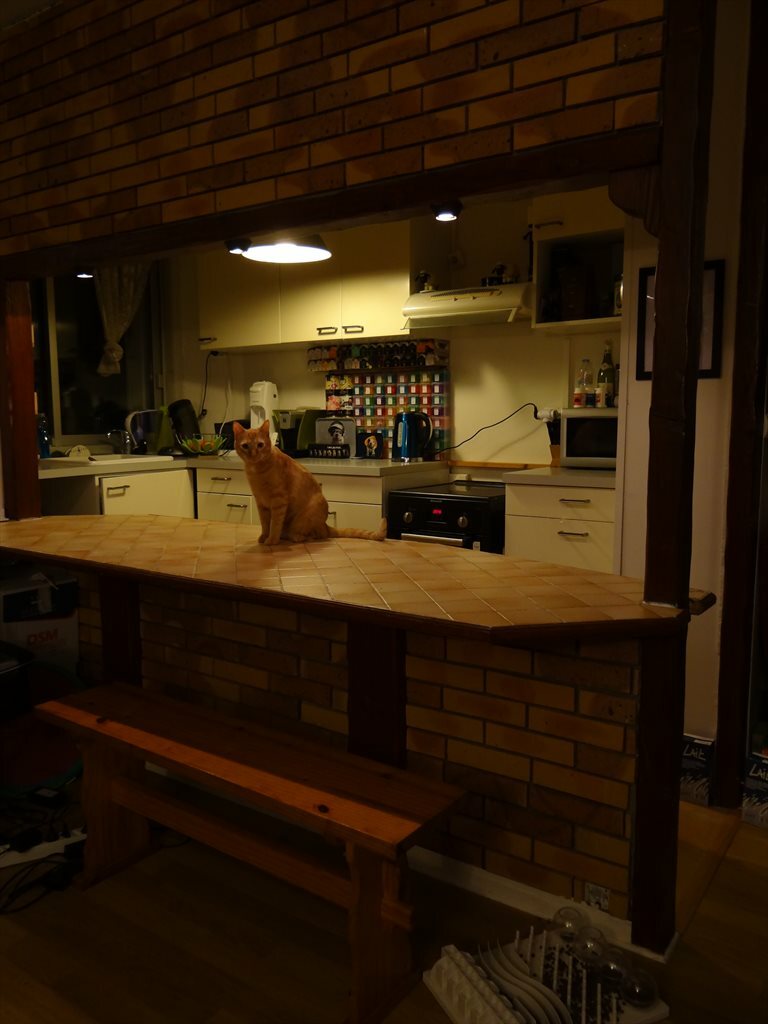 Colocatie Marly-le-Roi 94344