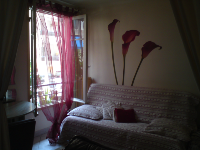 Chambre Chez L'habitant Nice 25741