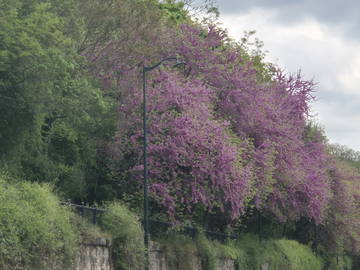 Studio À Louer Saint-Maurice 569097-2