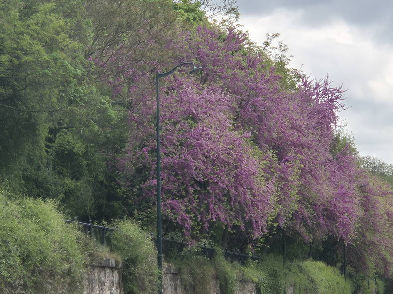 Logement Entier Saint-Maurice 569097-2