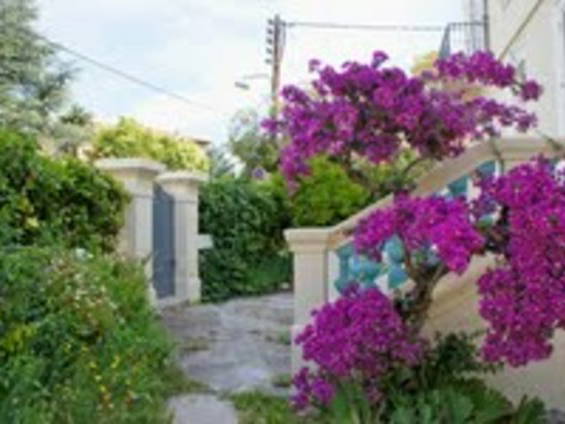 Logement Entier Nice 49229-1