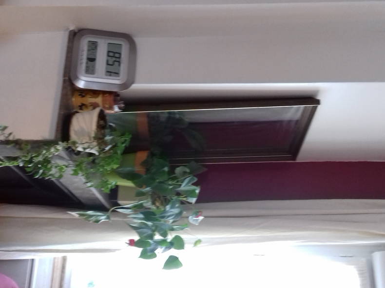 Toda La Casa Lyon 6145-5