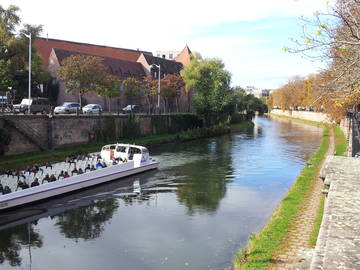 Room For Rent Strasbourg 156097