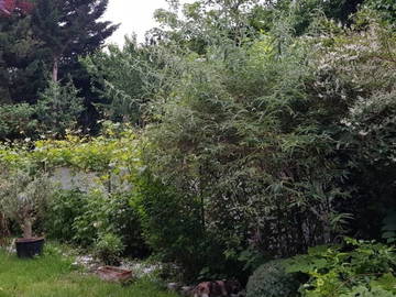 Logement Entier Saint-Maurice 460260-12