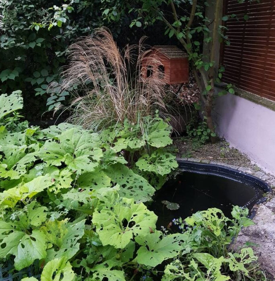 Logement Entier Saint-Maurice 460260