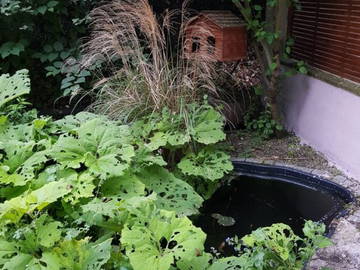 Logement Entier Saint-Maurice 460260-16