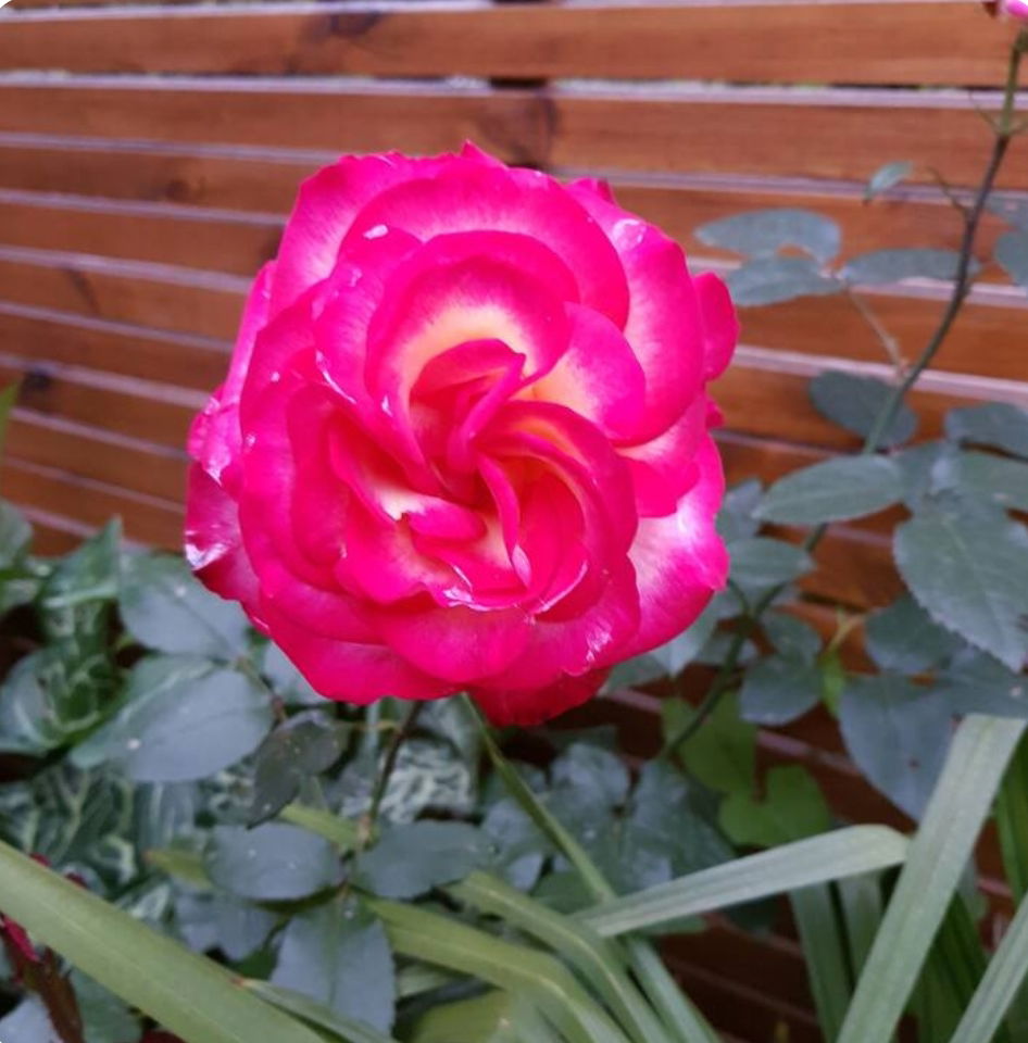 Logement Entier Saint-Maurice 460260