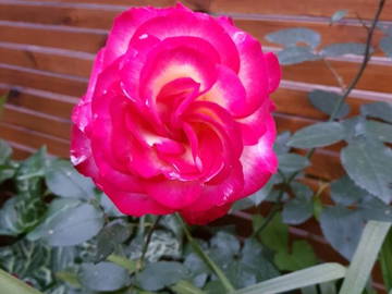 Logement Entier Saint-Maurice 460260-17