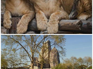 Logement Entier Saint-Maurice 460260-23