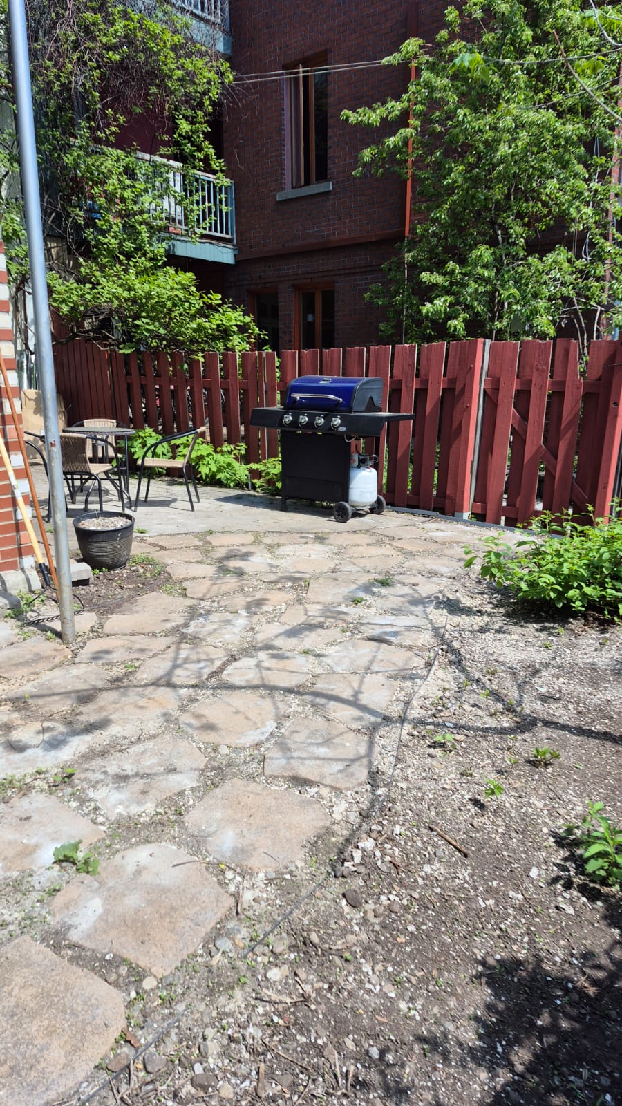 Coliving Montréal 673340