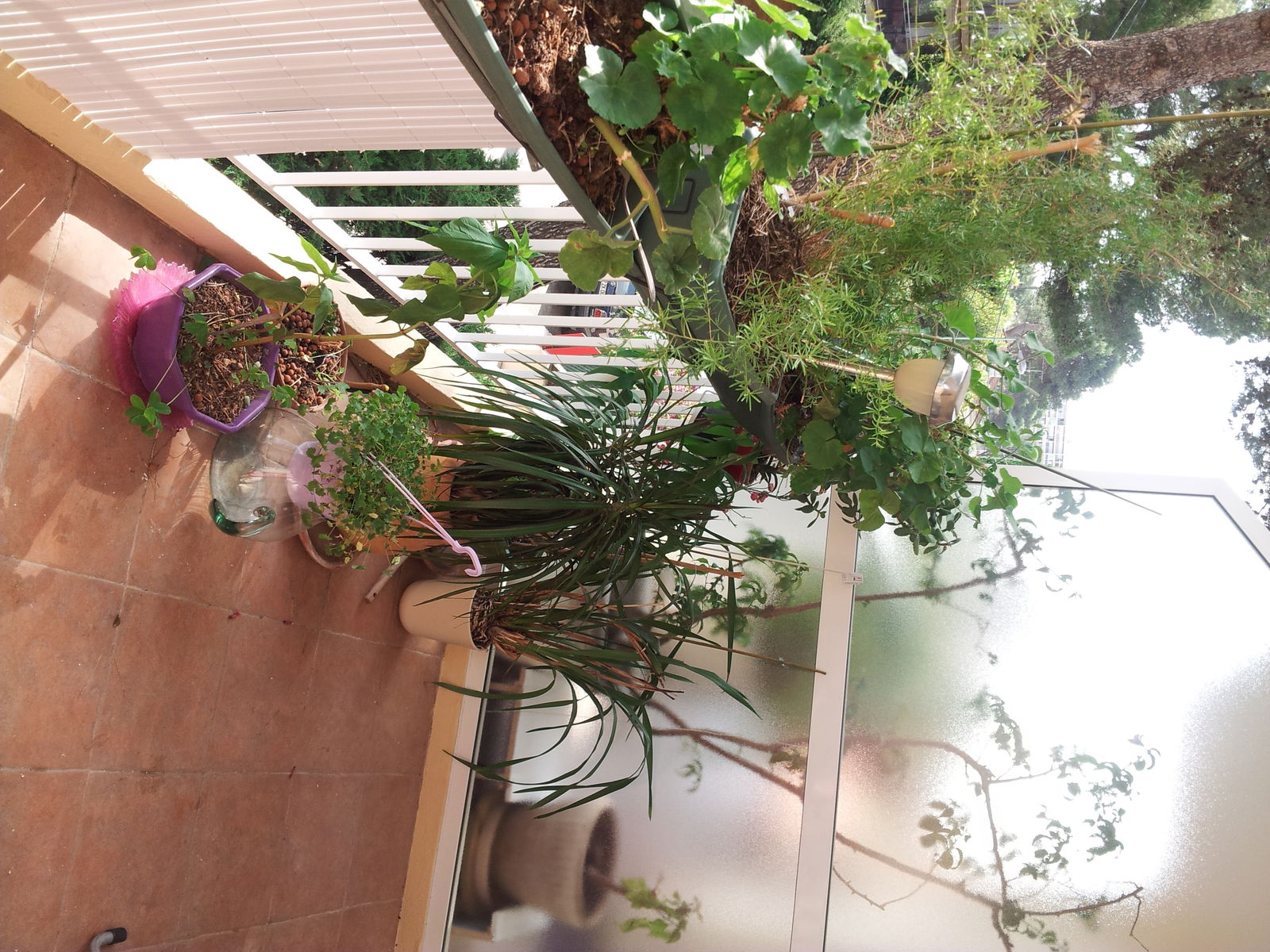 Estúdio Independente Le Cannet 158187