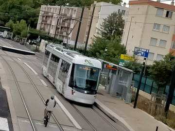 Chambre Chez L'habitant Avignon 266642-5