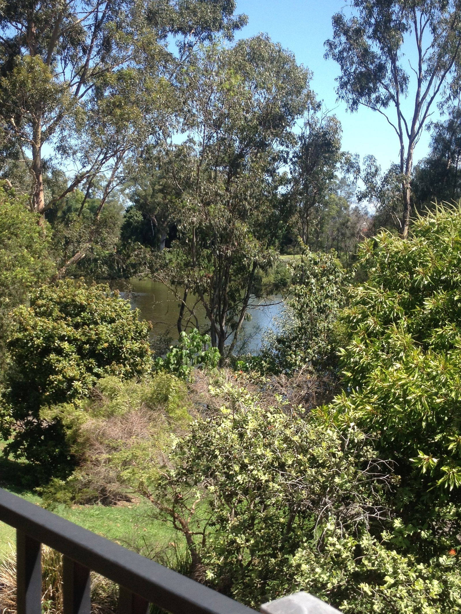 Homestay Ashmore 118948