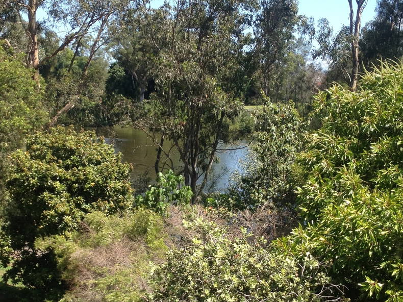 Quedarse En Casa Ashmore 118948-3