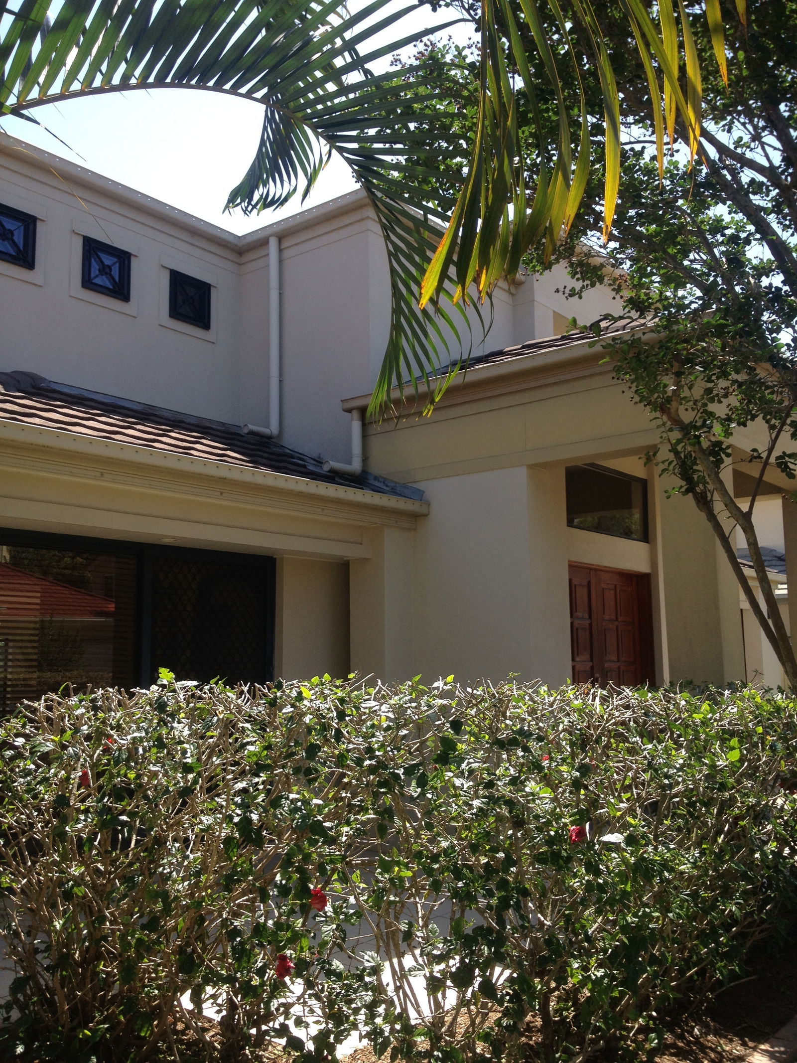 Homestay Ashmore 118948