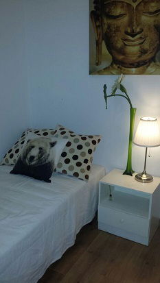 Homestay Barcelona 98973
