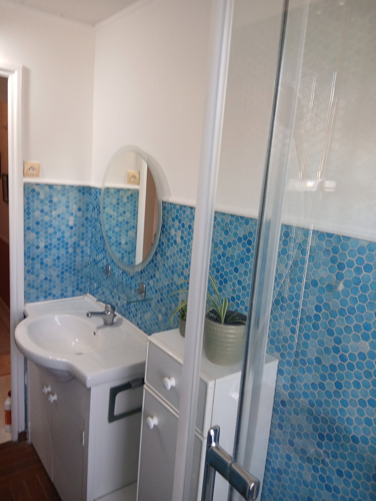 Entire Home Saint-Maur-des-Fossés 241289