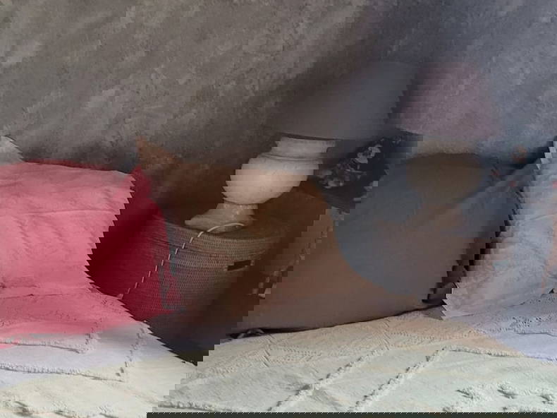 Gastfamilie Bort-l'Étang 338905-1