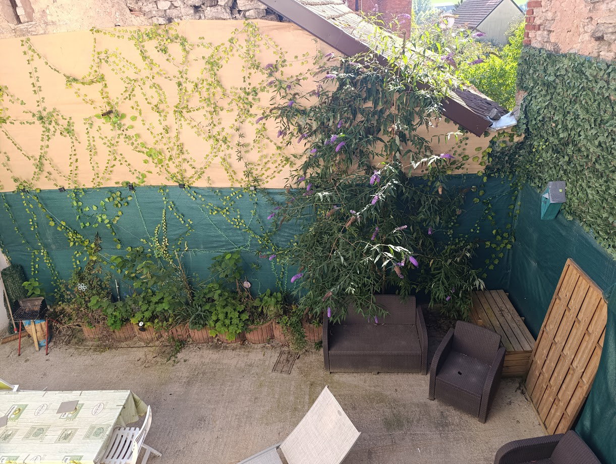 Hela Huset Weyer 433889