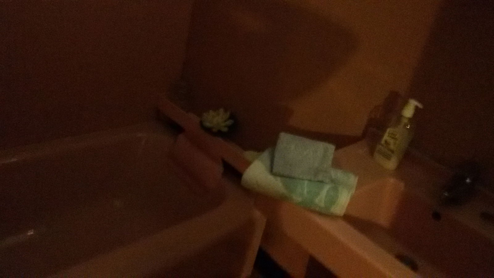 Gastfamilie Heudicourt-sous-les-Côtes 99301