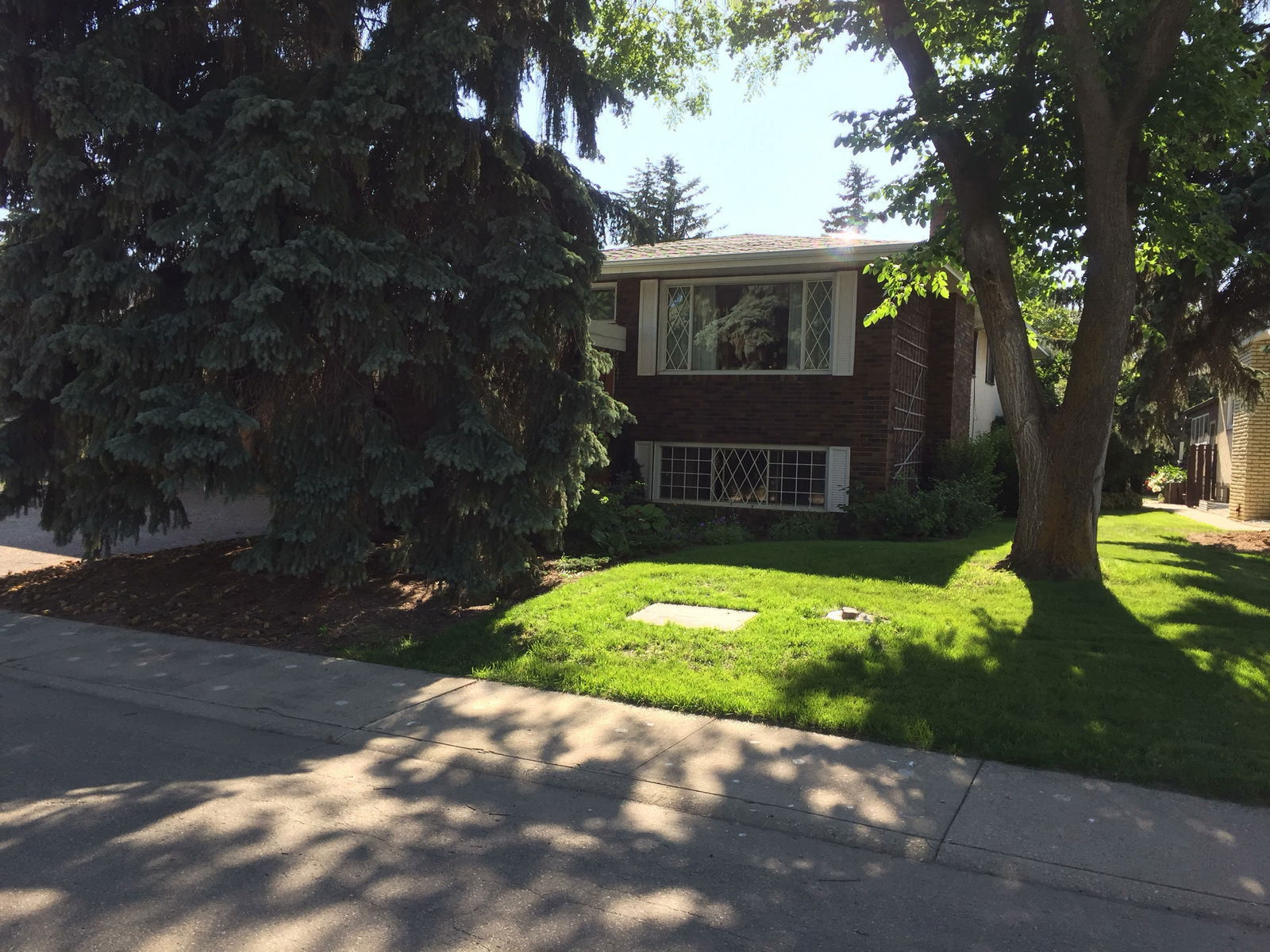 Gastfamilie Edmonton 226320