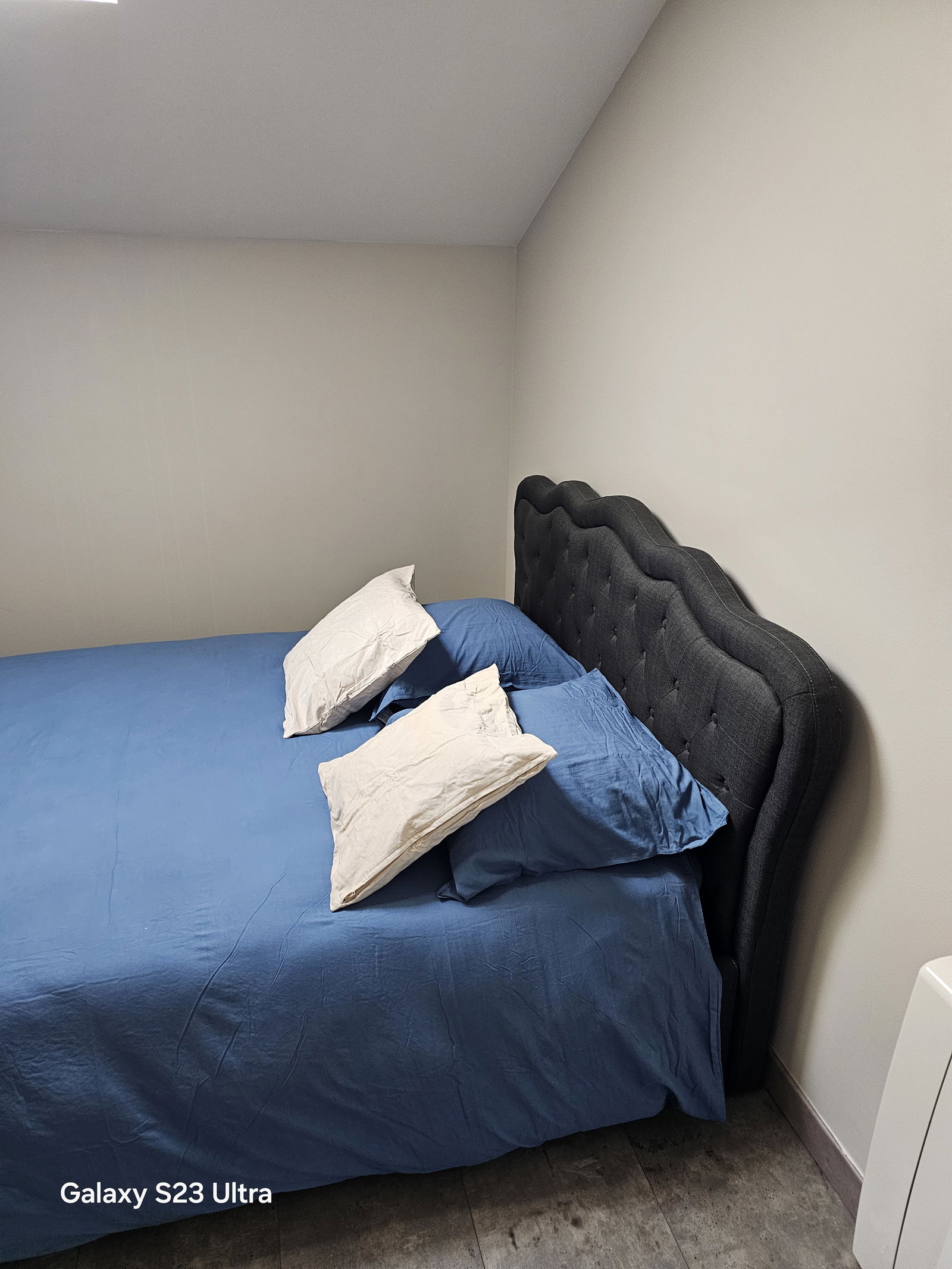 Kolokation Orléans 515737