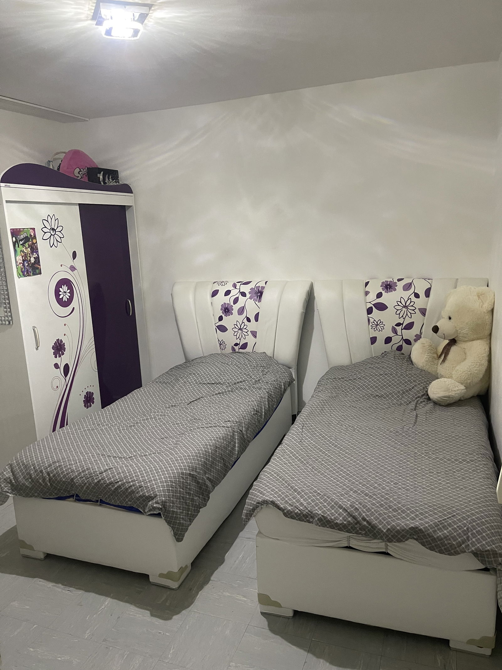 Kolokation Montréal-la-Cluse 264509