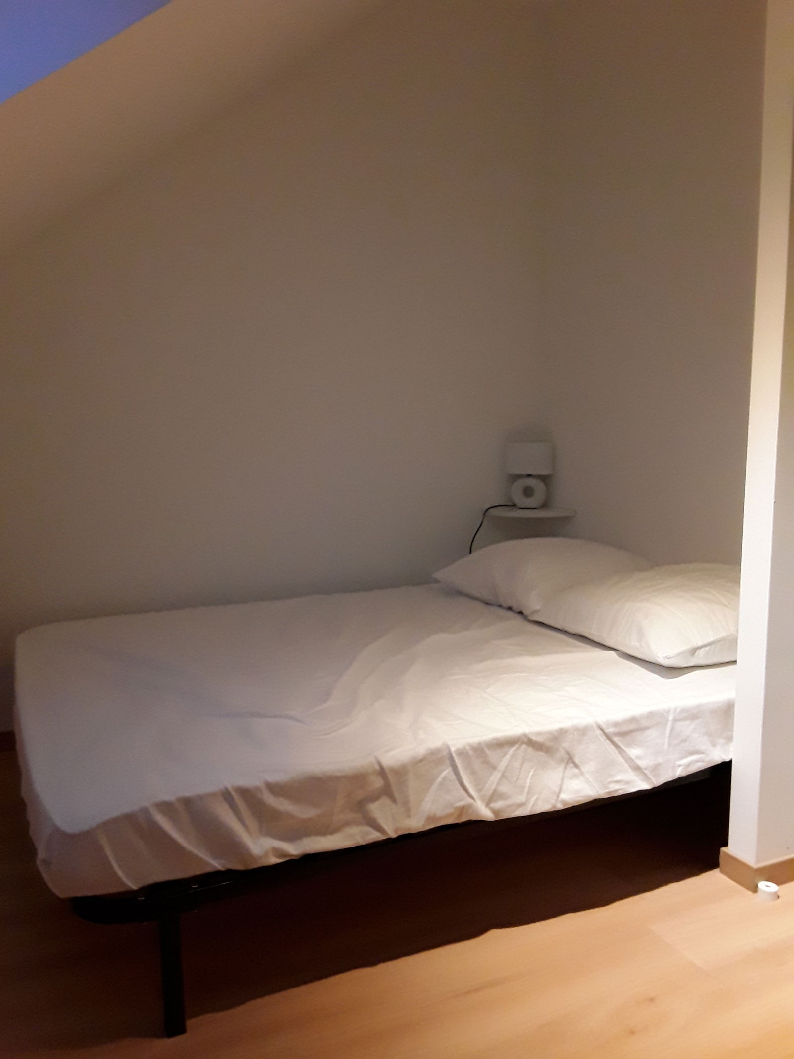 Colocation Amiens 456929