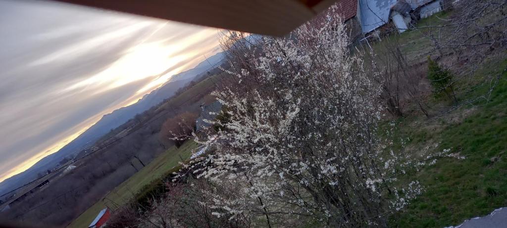 Homestay Sainte-Eulalie 612869