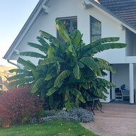 Homestay Altkirch 627635