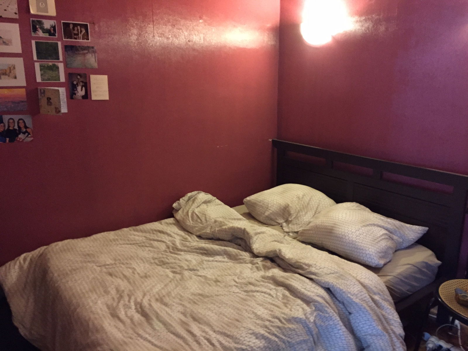 Kolokasie Lyon 122100