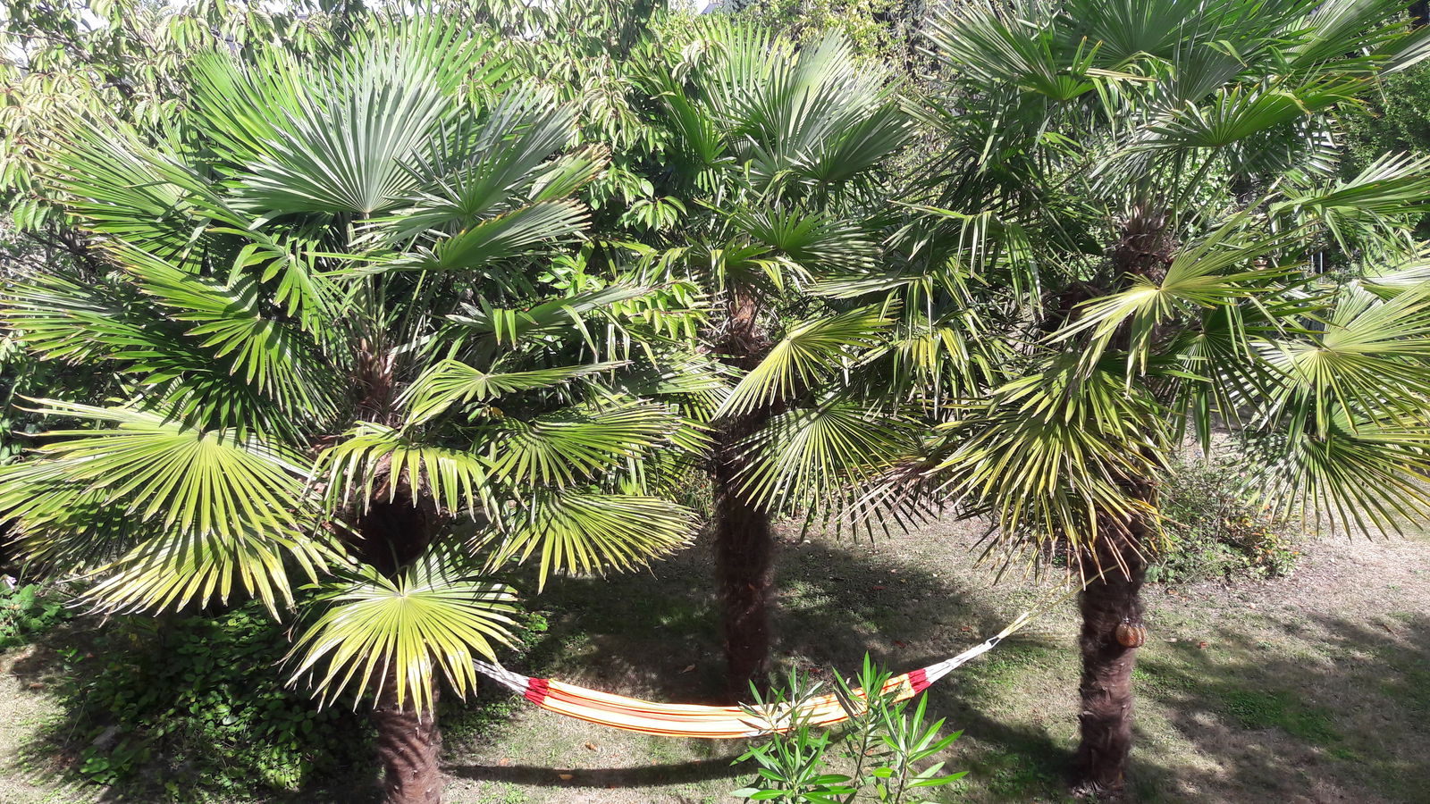 Tuisverblyf Sainte-Luce-sur-Loire 179480