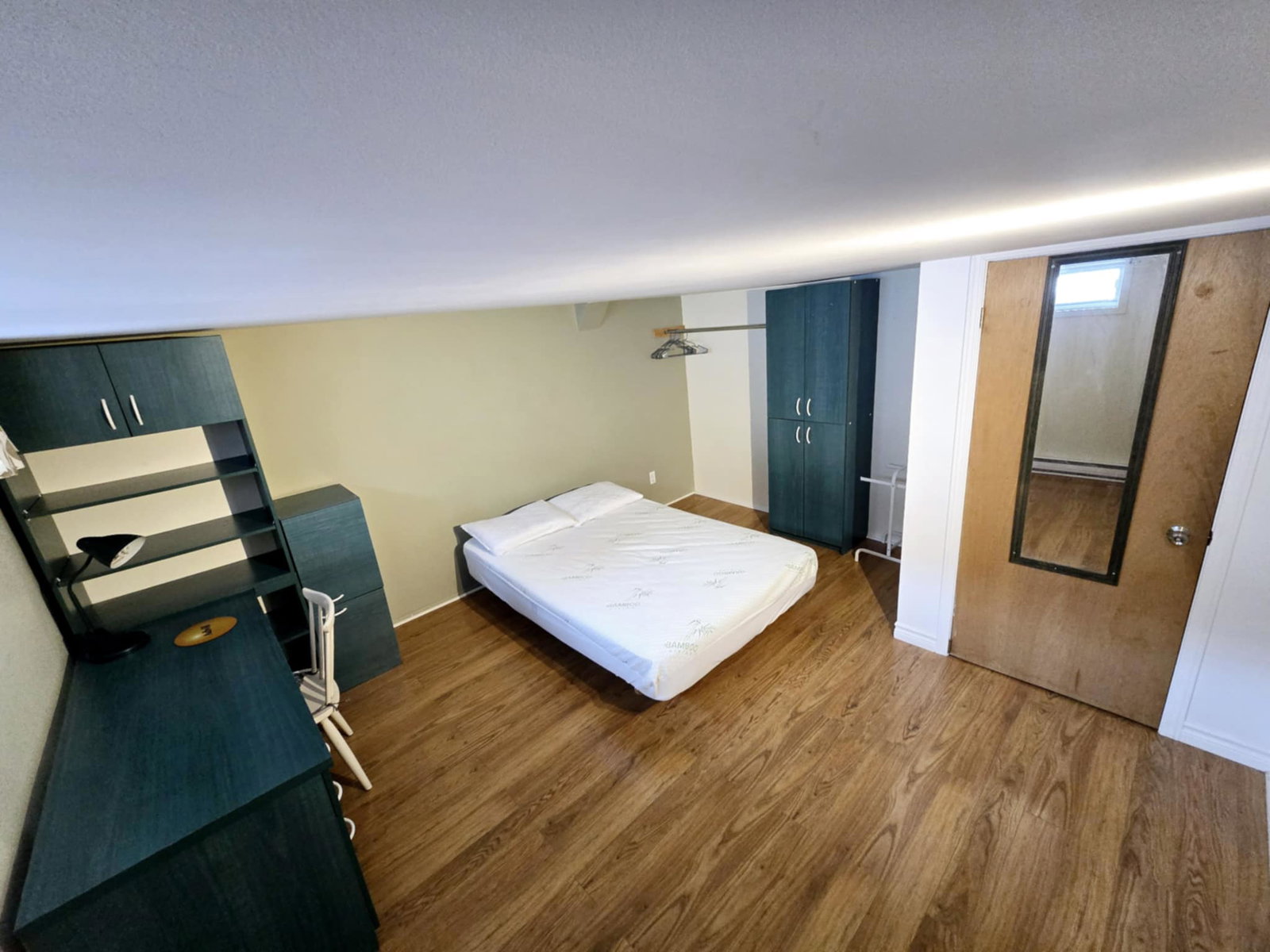 Kolokasie Montréal 658947