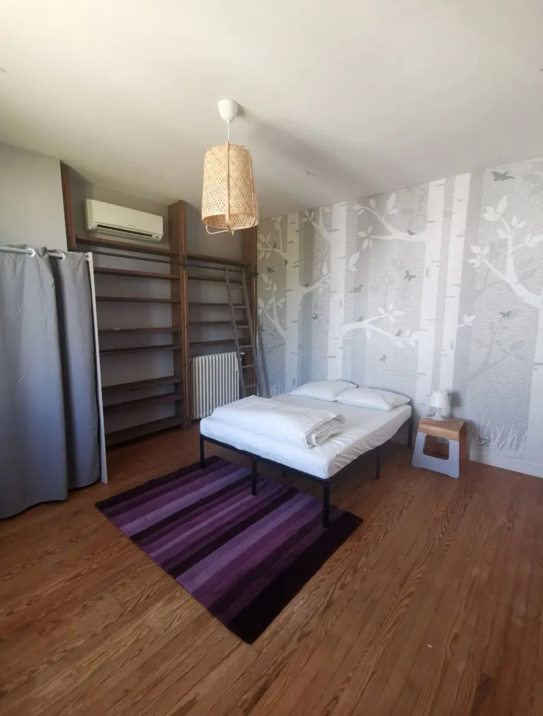 Kolokasie Floirac 635078