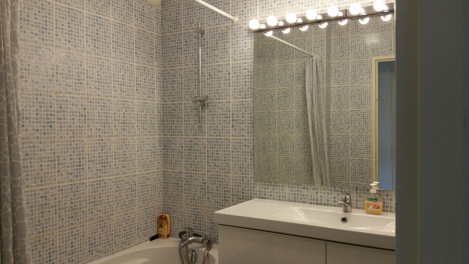 Gastgezin Lyon 106116