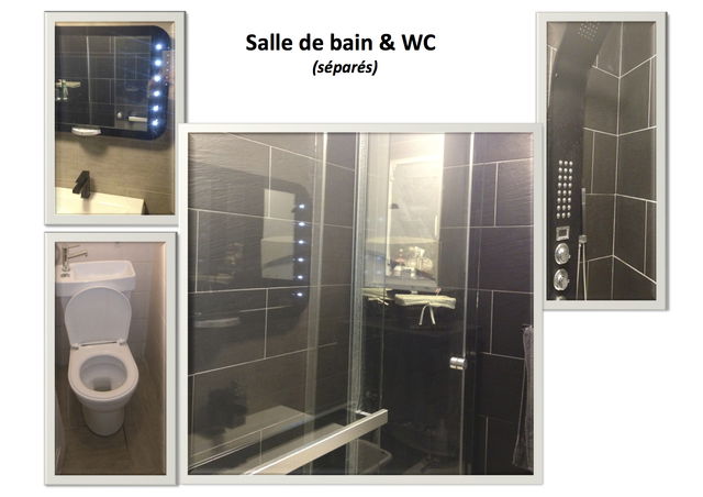 Colocation Grenoble 40089