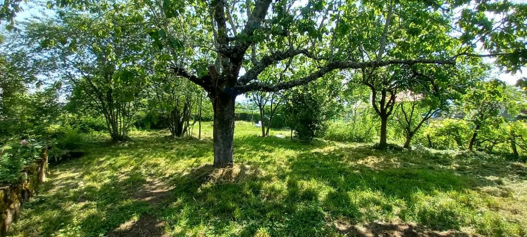 Hemvistelse Sainte-Eulalie 612869