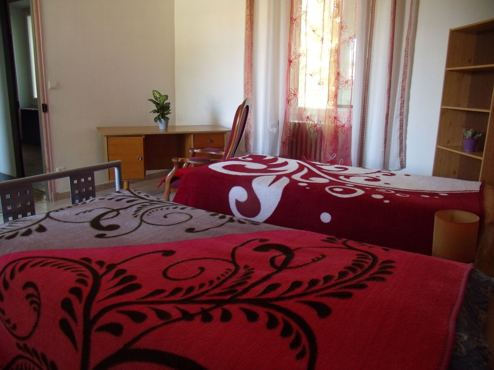 Famiglia Avignon 115313