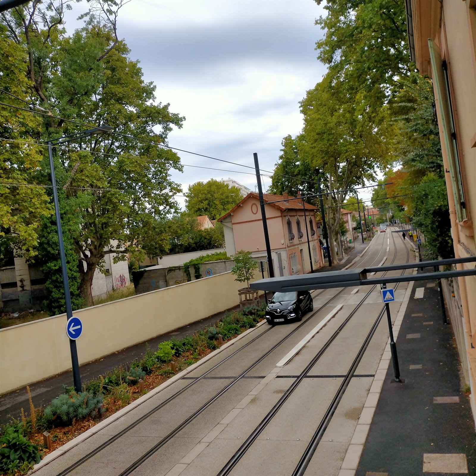 Famiglia Avignon 266642