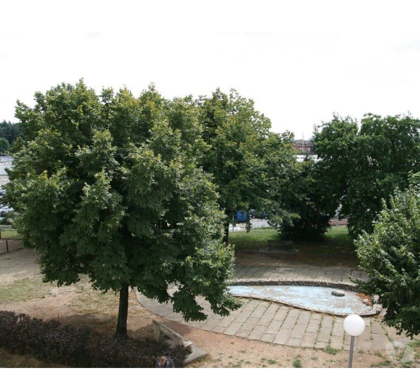 Collocazione Bron 390186
