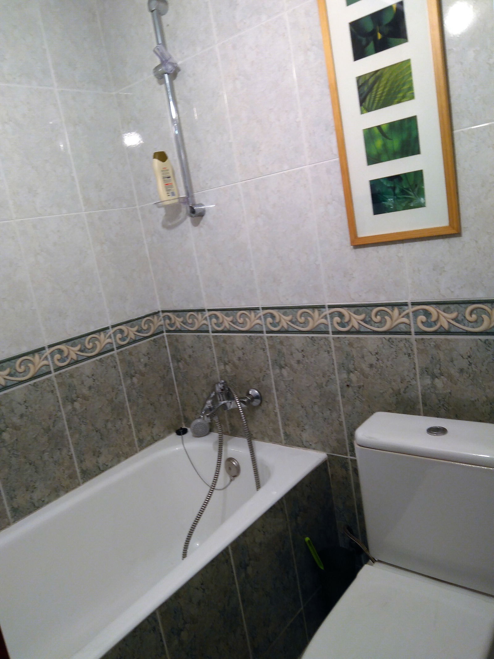 Homestay Bilbao 216359