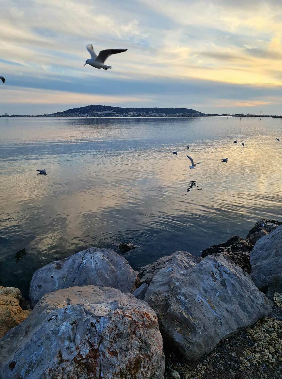 Unabhängiges Studio Balaruc-les-Bains 251956