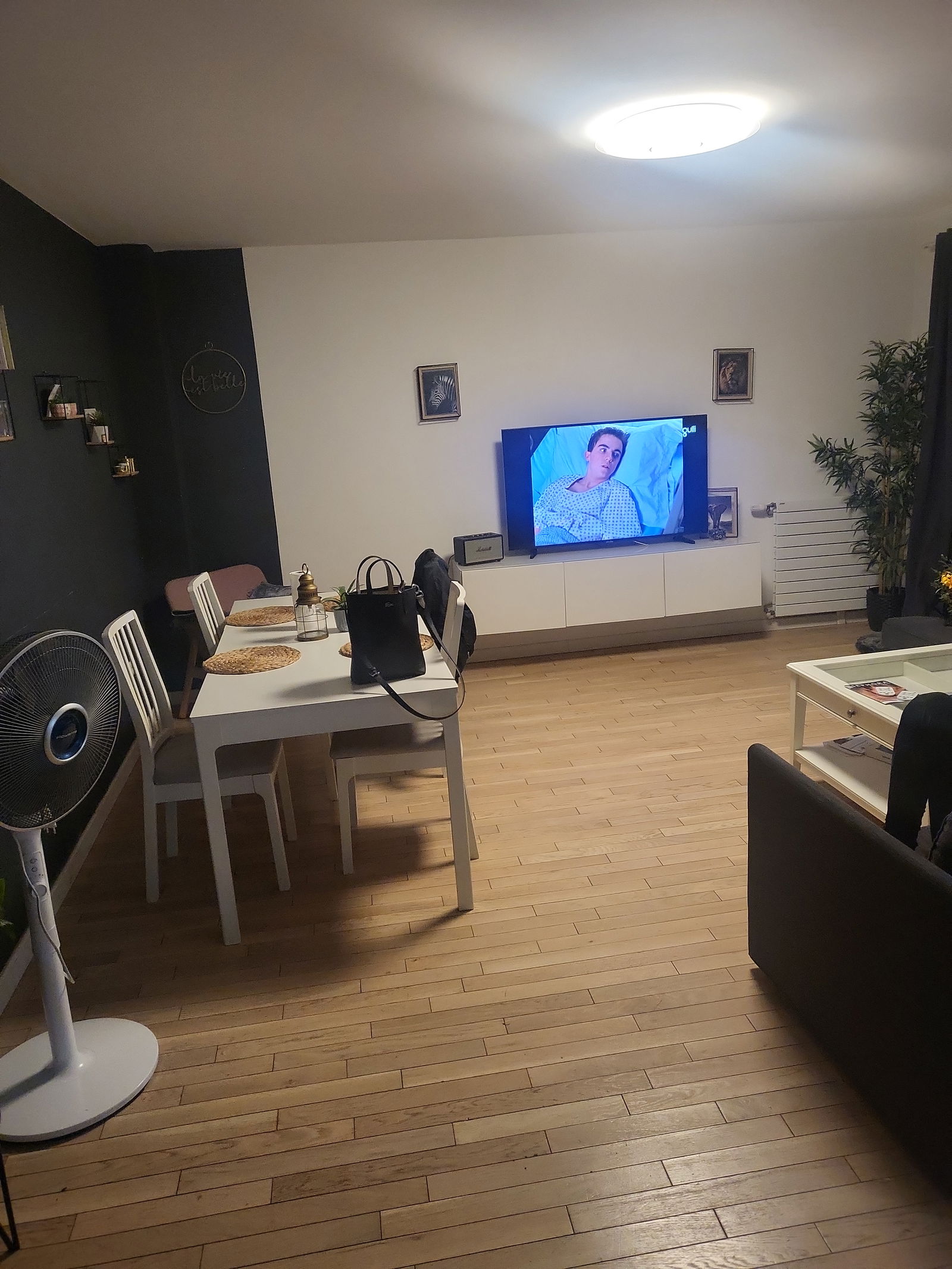 Kolokation Bourg-la-Reine 393663