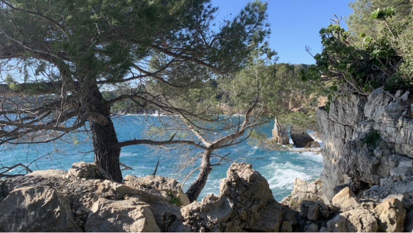 Unabhängiges Studio Antibes 507212