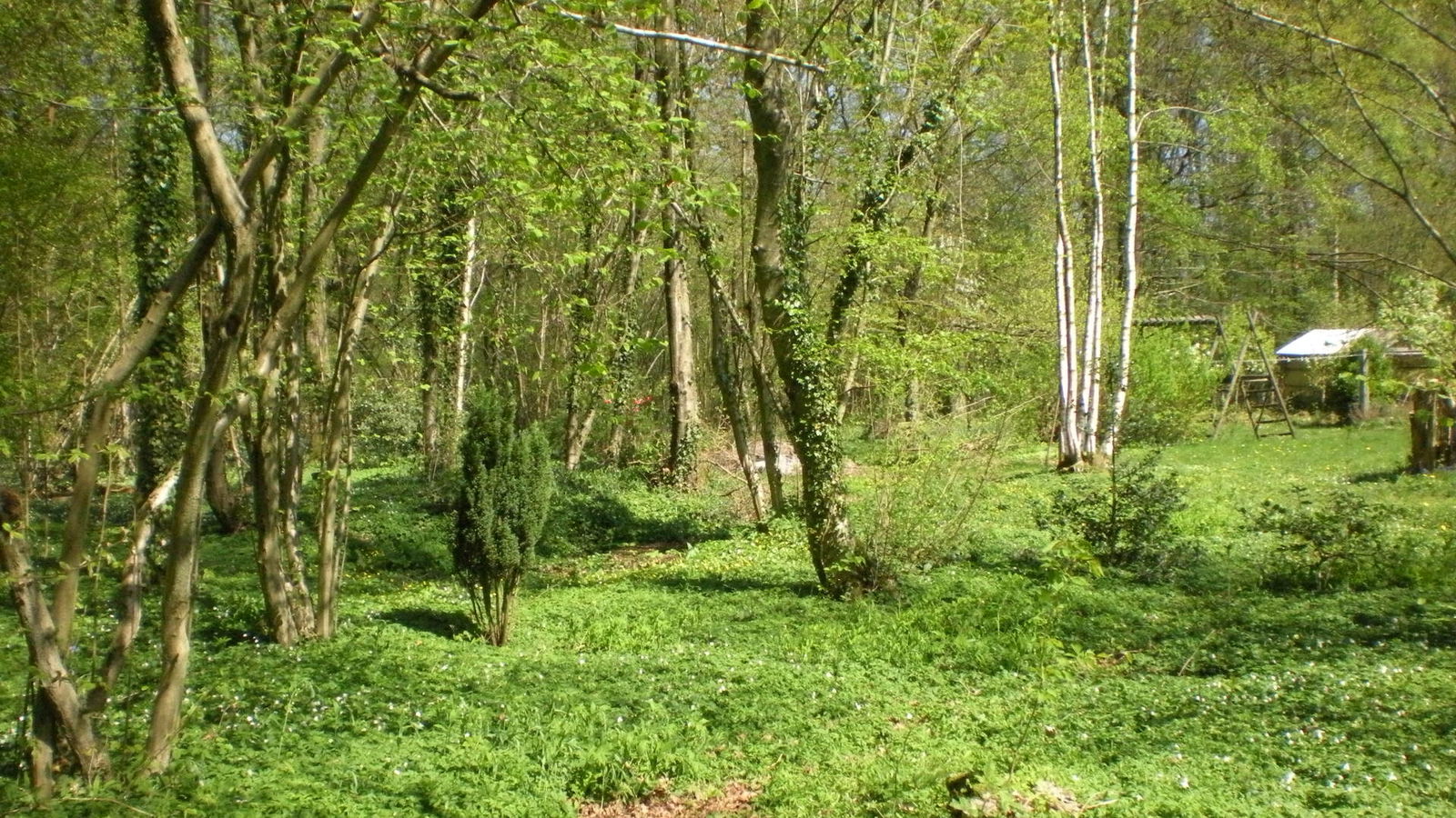 Järjestäminen Estouteville-Écalles 124899