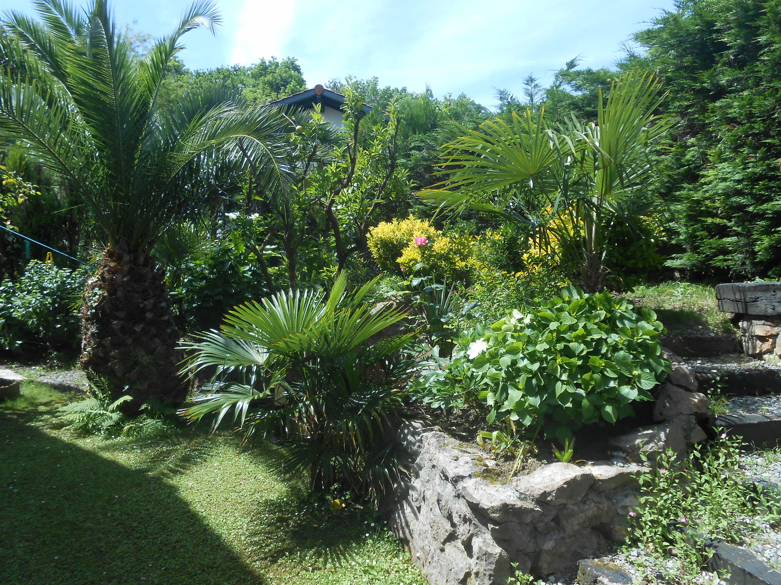 Homestay Hendaye 229664