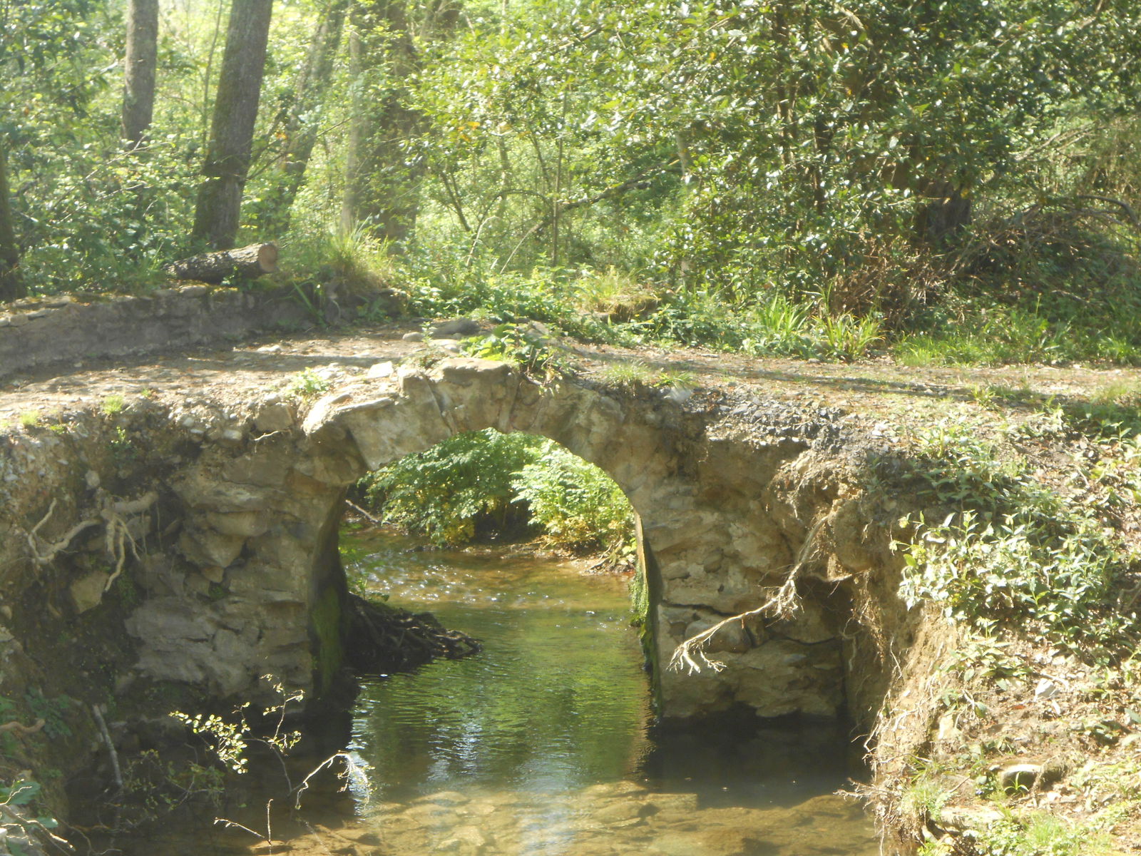 Homestay Hendaye 229664