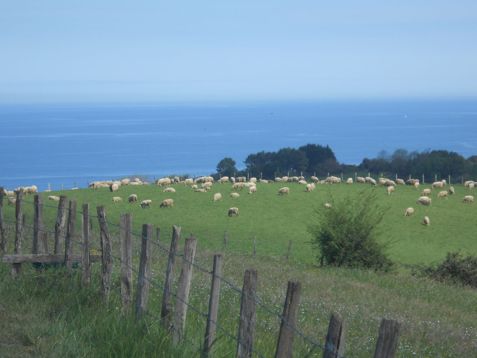 Homestay Hendaye 229664