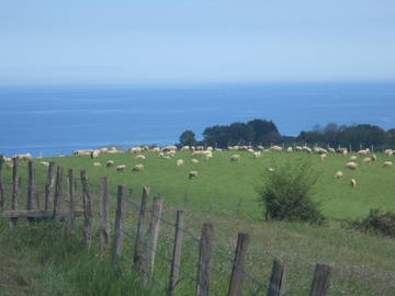 Chambre Chez L'habitant Hendaye 229664-9