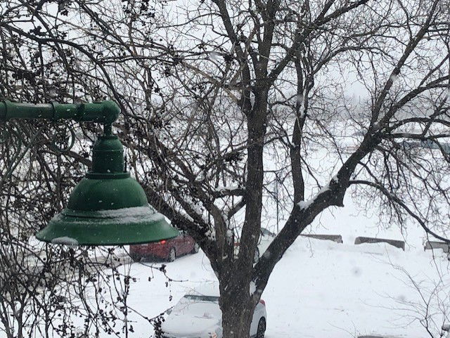 Colocatie Montréal 633267